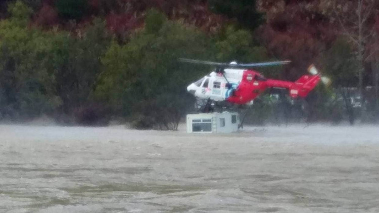 Chopper3 Carol McKeever