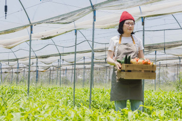 Woman outside in a market garden holding a box of vegetables