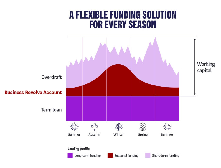 Business Revolve how it works example