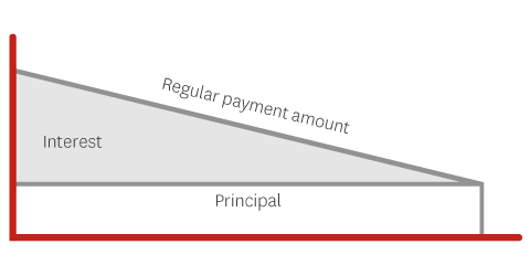 Reducing flat loan Reducing flat loan