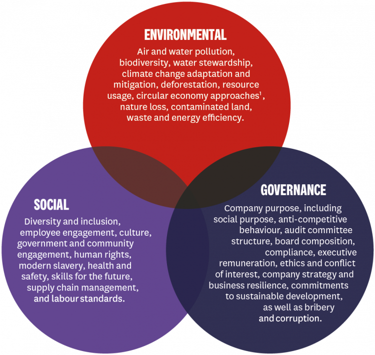 Environmental social and governance graph