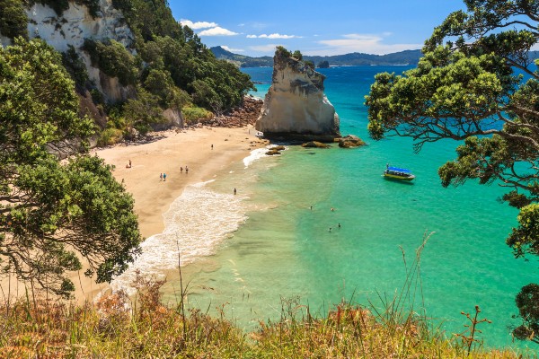 Photo of Coromandel