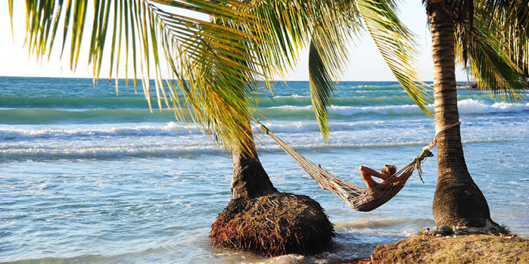 Hammock