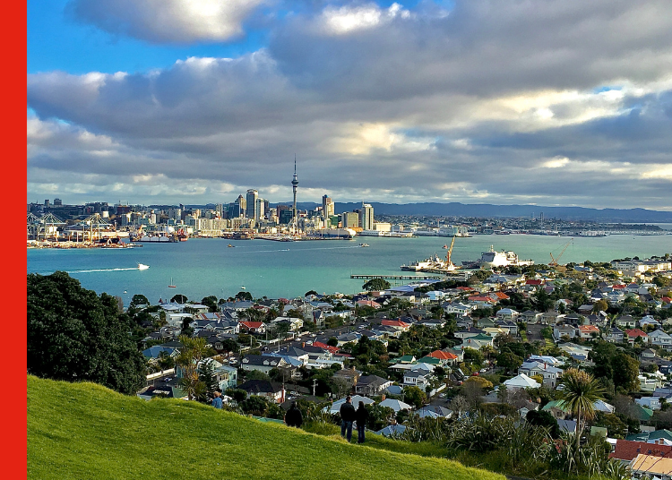 Auckland property View from a hill looking across an Auckland suburb to the CBD in the background