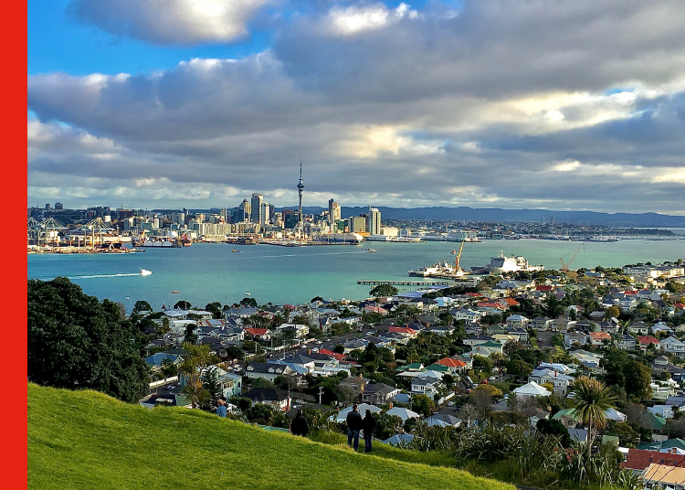 View from a hill looking across an Auckland suburb to the CBD in the background