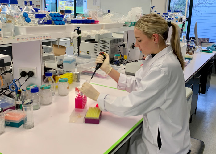 Daisy Lab 2