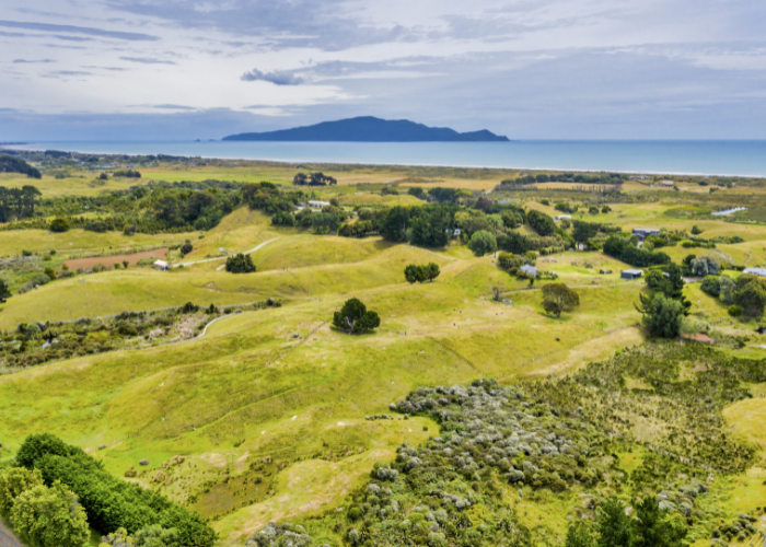 Kapiti Coast landscape