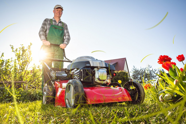 Older man mowing lawns