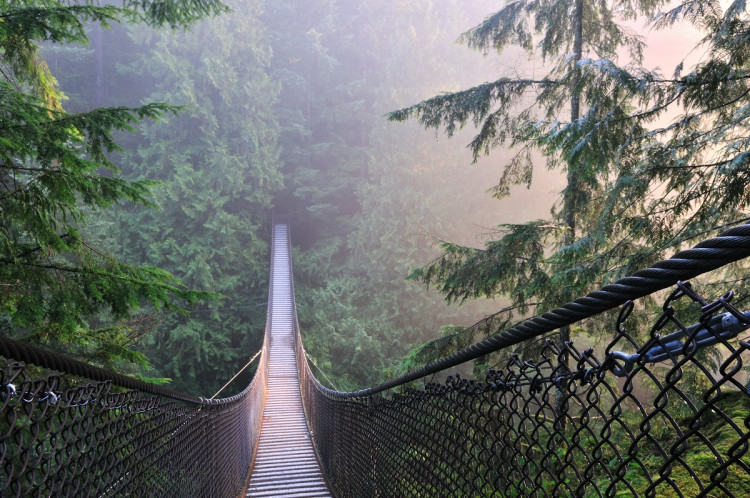 Lynn Canyon