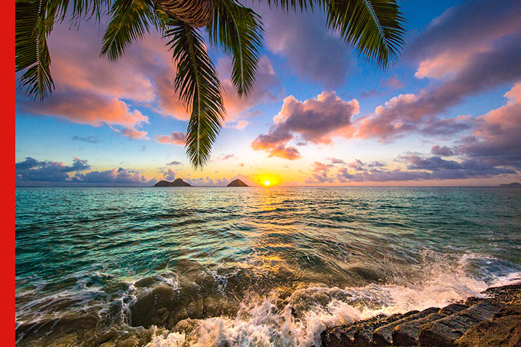 Travel Article banner