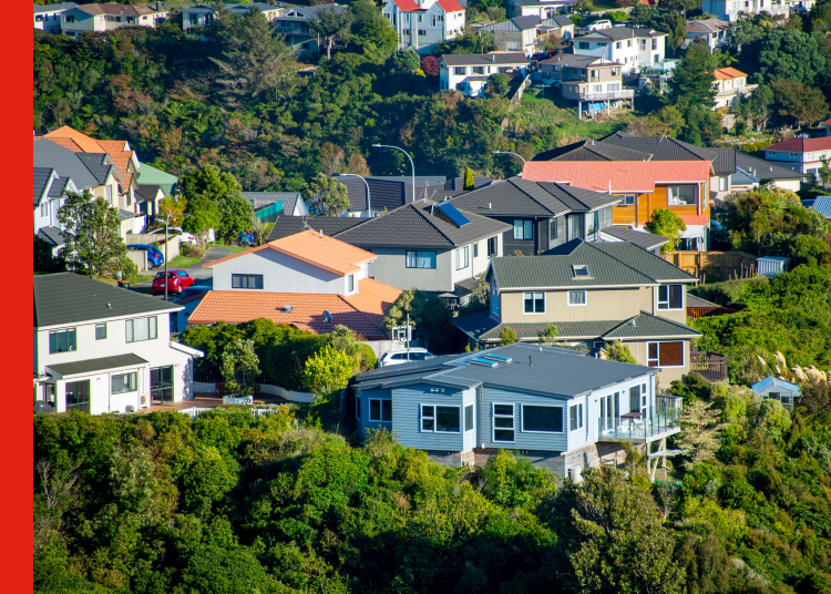 Wellington houses Aerial shot of houses in Wellington