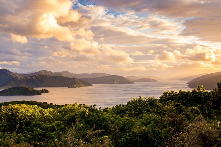 Sunrise over the Marlborough Sounds