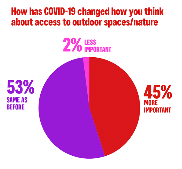 Pie chart graphic