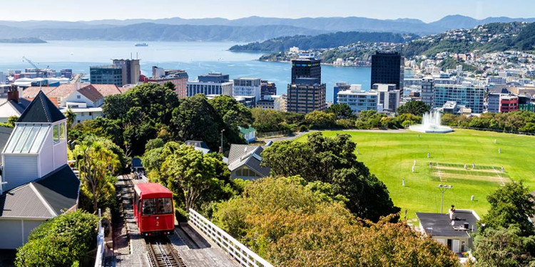 Wellington Banner for Best Places