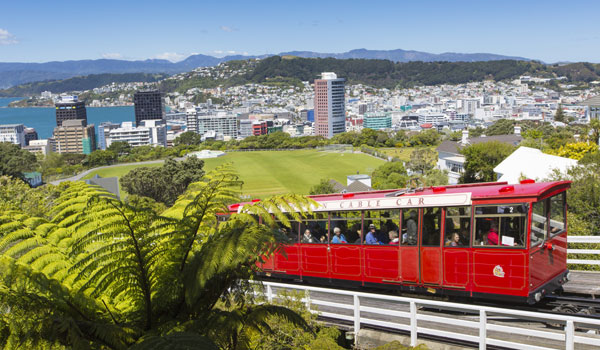 WellingtonNew